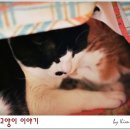 이불이야기 이미지