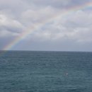 제주행정사합동사무소 이미지