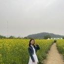 플라로사 이미지