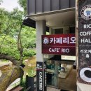 [안양 / 카페리오] 안양예술공원 계곡뷰 즐기기 | 안양유원지카페 내돈내산 후기 | 주차 | 메뉴