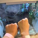 주식회사 테이블에이 고양이카페 | [홍대고양이카페 &amp; 동물원] 테이블에이, 데이트·친구랑 가기 좋은 홍대 이색 공간