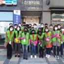 빛과 소금 이미지