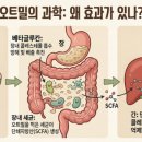 마법의약국 이미지
