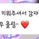 디어마이모모 네이버블로그