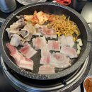 돼지zone