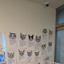 701아를고양이카페(cat in the art)