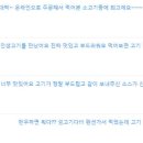 섬고기
