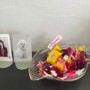 뱅헤어 | 여권사진 눈썹 규정 사진 크기 / 합정 사진관 슬로우그래피 솔직후기