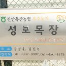 성보목장 이미지
