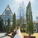 2. 충주 파라다이스 웨딩홀 | 이그라피 스냅 | 본식 메인 스냅 후기 | 내돈내산 솔직후기 📸