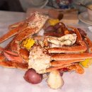 송송호스텔 | 시애틀의 잠 못 이루는 밤 :: 맛집, 분위기 좋은 바 추천 , 그린톨토이즈 호스텔 후기