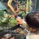 호텔네이처 부산신항점 | 부산아이랑가볼만한곳 센텀시티 도마뱀체험 어반네이처 카페