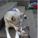 사주세요 네이버블로그