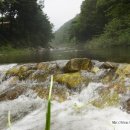 비룡민박 이미지