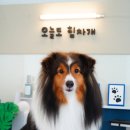 오늘도 힘차개 이미지