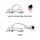 따봉 - 제주시 삼무로 40 | 따봉