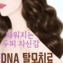 삼부의원 이미지