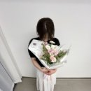 나영파크 이미지