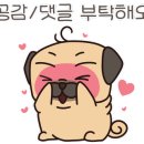 댕댕이 이발소 이미지