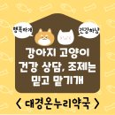 대경약국 이미지