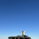 더푸르개 이미지