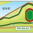 양산에 국제규모 인라인장 만든다 이미지