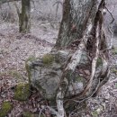상대리[서] Daum카페