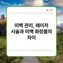 미백 이미지