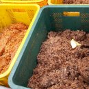 감나무한의원 이미지