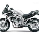 2010 Yamaha FZ6R Preview 이미지