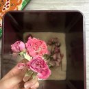 정가네삼계탕 | 7-8월 | 신혼집 입주👩🏻‍❤️‍👨🏻, 성남 맛집탐방•이곳저곳, 도현 결혼식