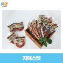 지에스펫 이미지