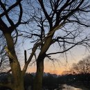 월랑수변공원 화장실 이미지