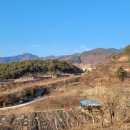 정영농장 이미지