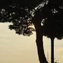 남부우회도로 가로수길 | [이탈리아_소렌토_포지타노_4] 🇮🇹 포지타노-아말피 구간 폐쇄 / 소렌토-포지타노 렌트카 당일치기...