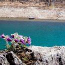 문산1리 이미지