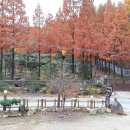 금리마을펜션 이미지