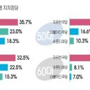 의사 연령별 지지정당 이미지