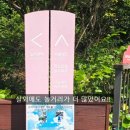 오감통통동화놀이터 | 동두천놀자숲 초대형 네트코스 놀이터 입장료 주차 실내 놀이터 아이랑가볼만한곳