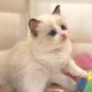 집사의 하루 대구점 이미지