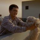 플란다스의개 이미지