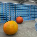 삼도2동 탑동해변공연장 | 제주공항 근처 카페 귤메달하우스 후기