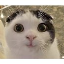 뚱땅뚱땅 이미지