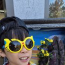 대전유성국화축제 유림공원2025ㆍ11ㆍ2 이미지