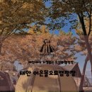 태안별빛오토캠핑장 | 태안 캠핑장 어은돌오토캠핑장 A10번 사이트 오션뷰 캠핑장 후기
