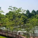 세븐일레븐 평택명동거리점 이미지