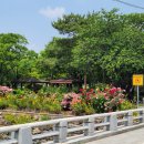 영천댐식당 이미지