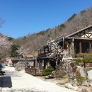 진부령계곡민박 이미지