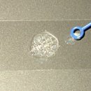Re:활성산소 H2O2 분해효소 Catalase 이미지