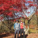 절고개공원 이미지